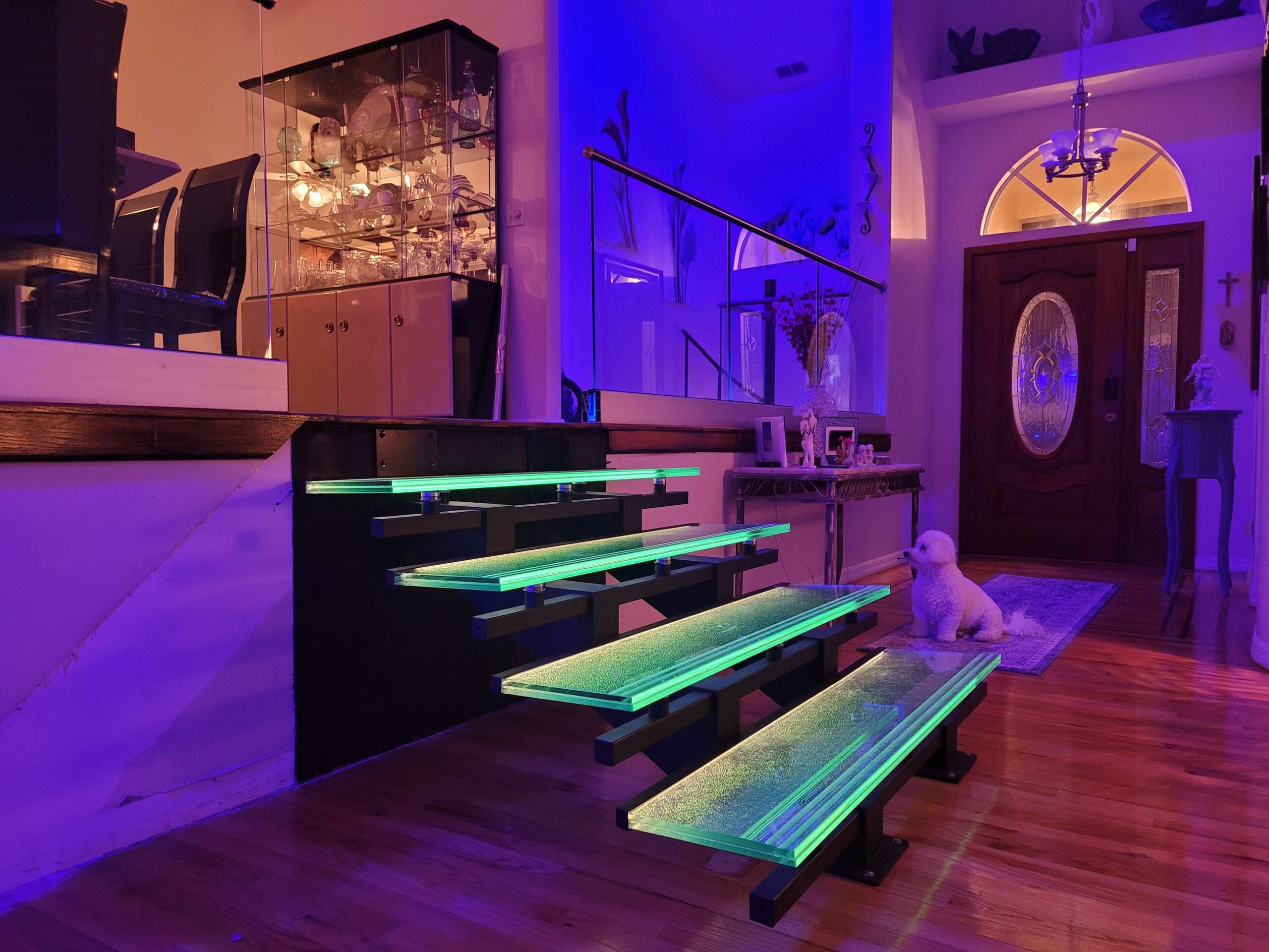 glowing glass stairs with dog image